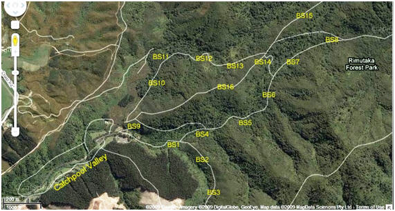 5 Minute Bird Count Stations network - Catchpool Valley, Rimutaka Forest Park