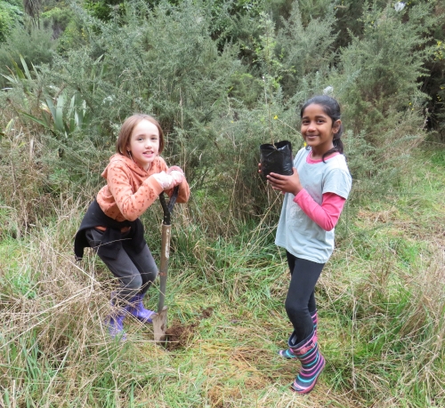 Planting trees in the restoration zone allocated to their school, these students had a great day away from school.