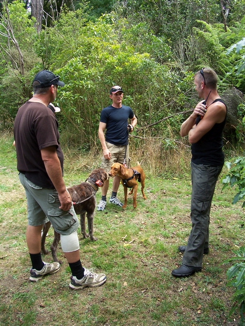 Kiwi avoidance trainer Jim Pottinger (right) with two hunters and their dogs