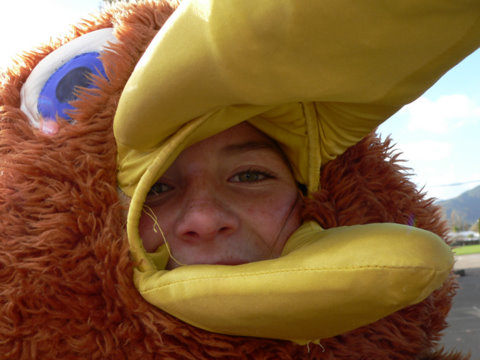 Child, having fun in a kiwi costume, promoting the work and efforts of the Rimutaka Forest Park Trust.
