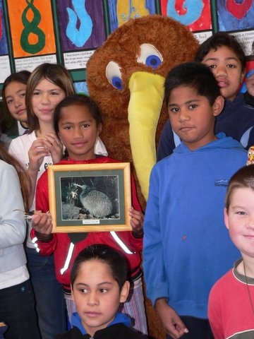 Pukeatua Primary School children named our clever kiwi girl "Manaia" who subsequently produced our chick, "Matamua"