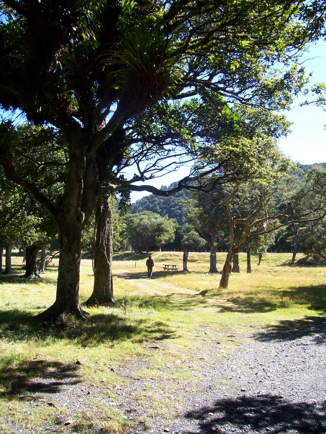 There's a picnic area and toilet facilities at the spectacular Waiorongomai Station entrance to the Rimutaka Forest Park