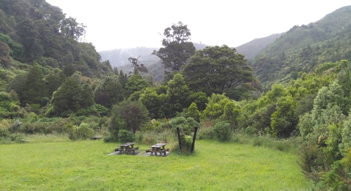 Looking up the Catchpool Valley into the Eco-Hotspot from the Catchpool Loop Track