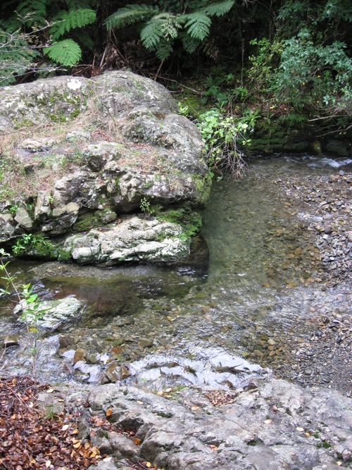 Rock pool at Graces Stream