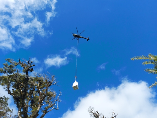Helicopter delivering new traps for the Remutaka Forest network