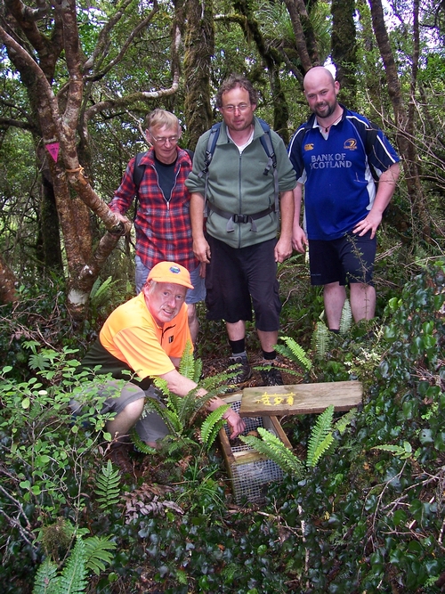 A band of merry men spotted on MSR4 in the Rimutaka Forest Park