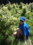 BNZ Call Centre volunteer enjoying her day out in the Park