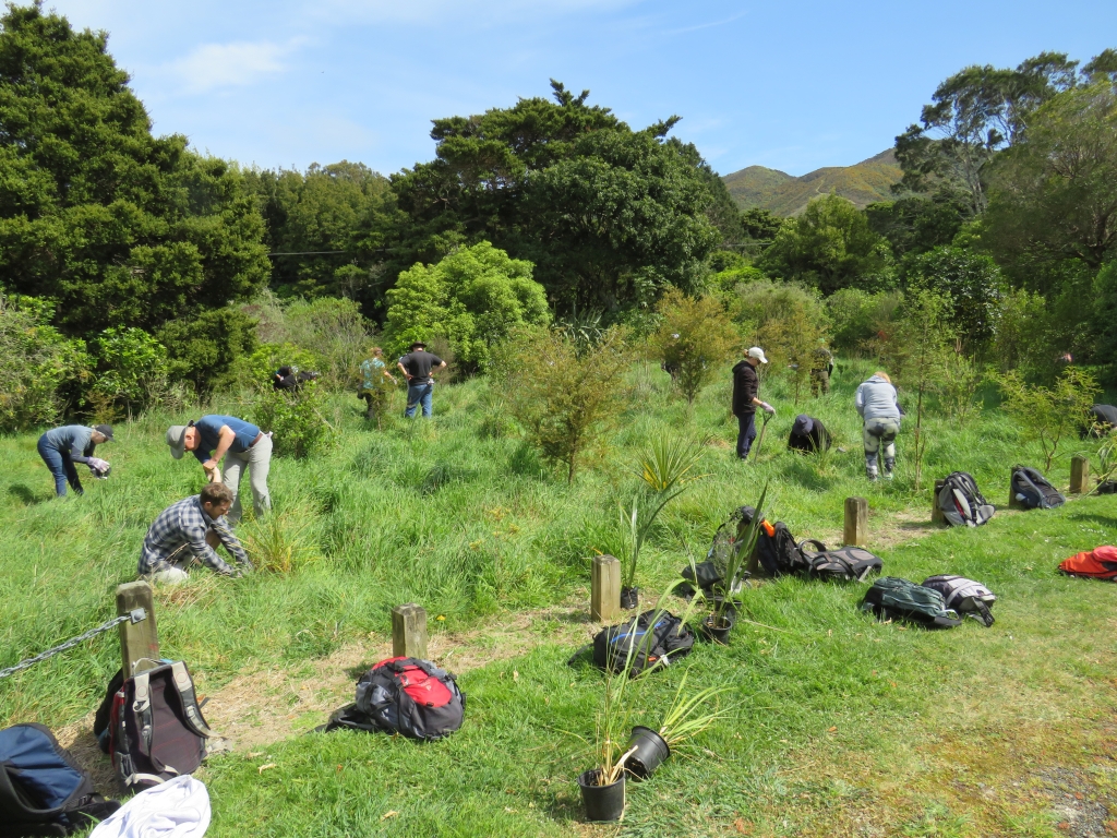 Corporate volunteers planting native trees on their volunteer day down at the Catchpool Valley