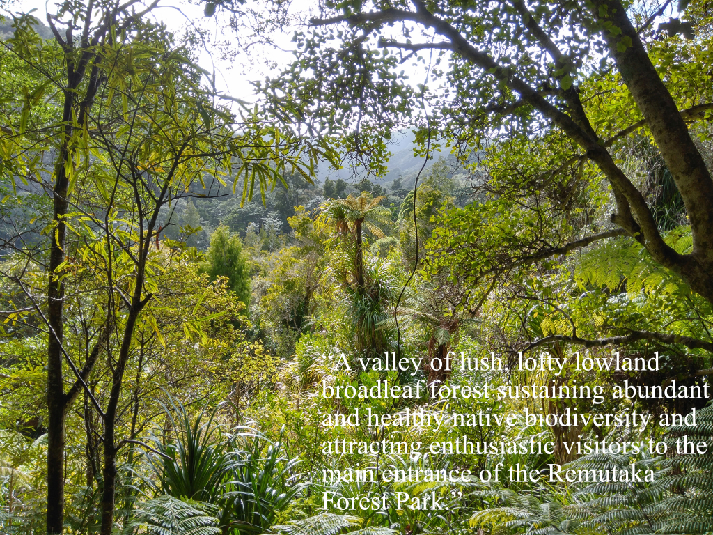 Vision Statement for the Catchpool Valley superimposed on an image of the nearby lowland broadleaf forest at Graces Stream.